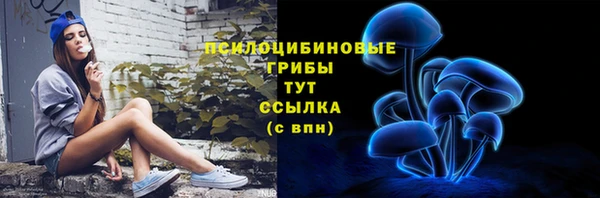 гашик Балахна