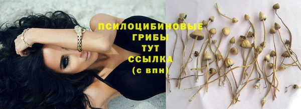 гашик Балахна