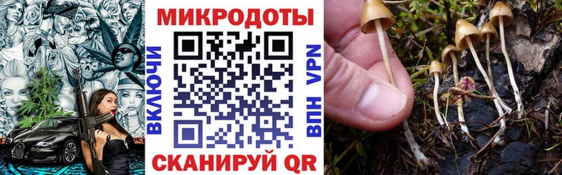 Псилоцибиновые грибы Psilocybe  маркетплейс наркотические препараты  Видное  как найти   мега ссылка 